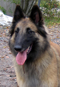 Hazel-Eole7.10.2007-3v8kk.Hile.head3.jpg (78123 bytes)
