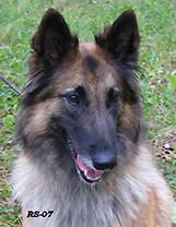 Honey-Eole7.10.2007-3v8kk.Nella.head1.jpg (73729 bytes)